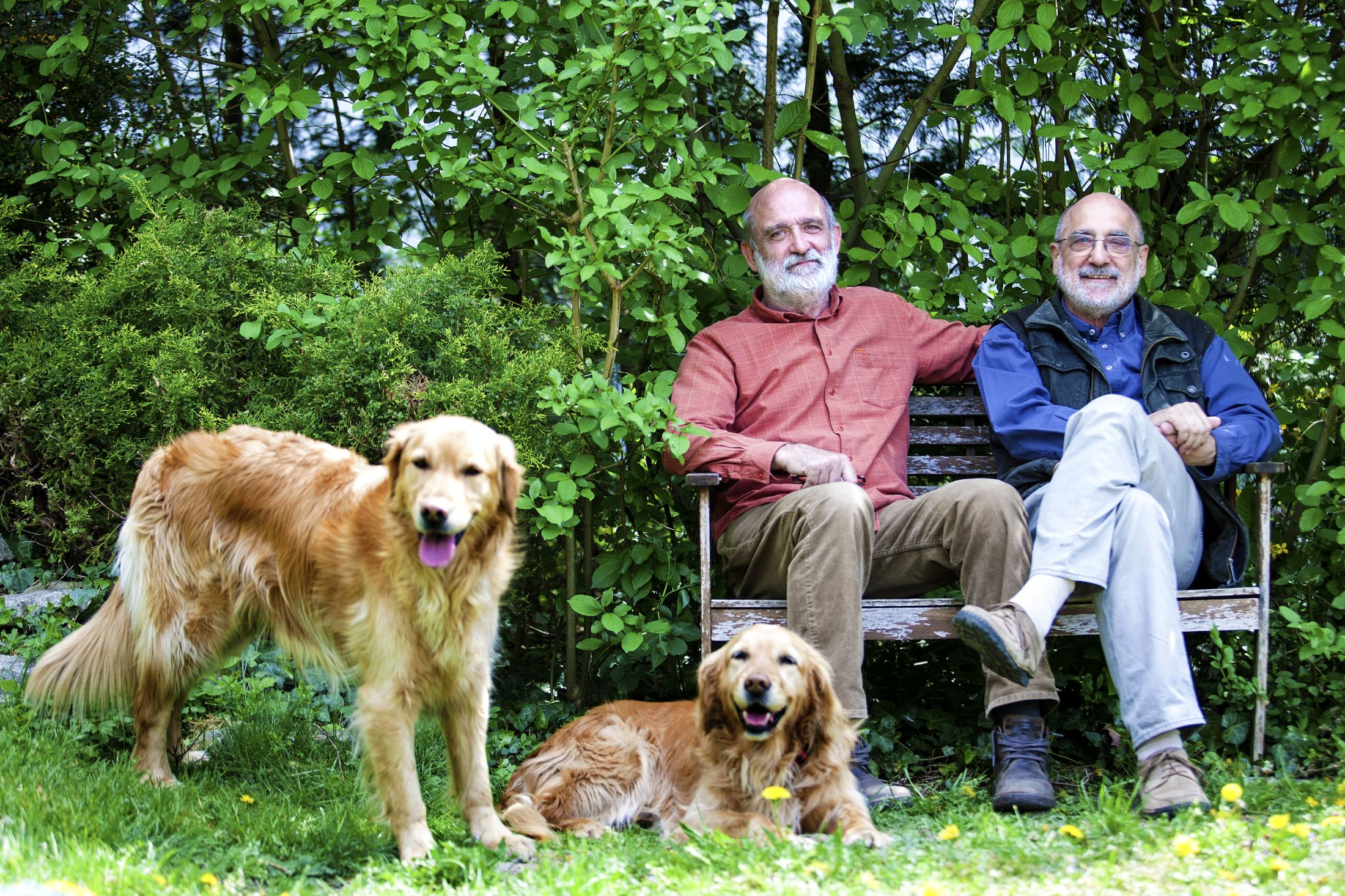 Család-munka: 51-53