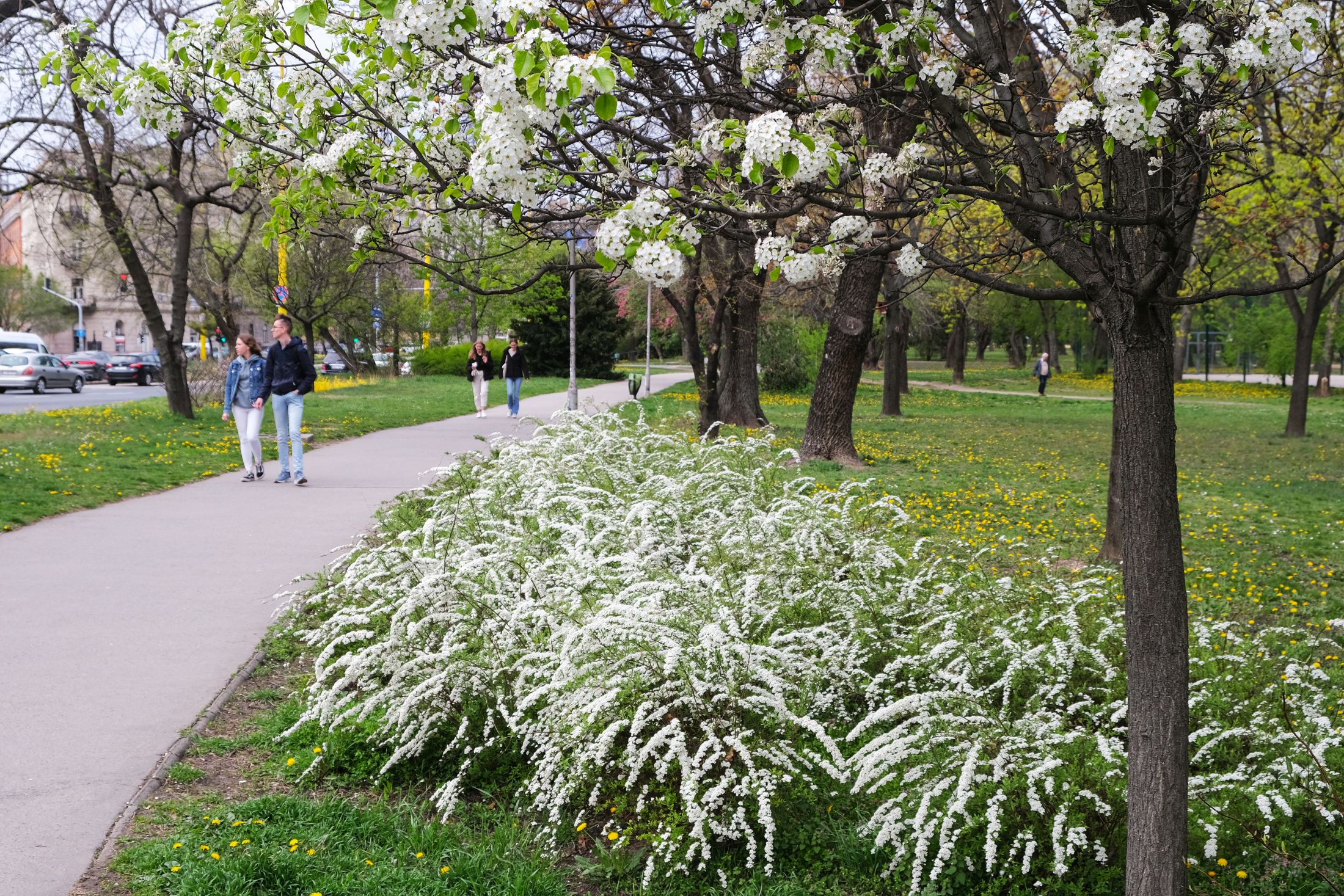Melyik lesz a sokezerből? – Allergének 1.