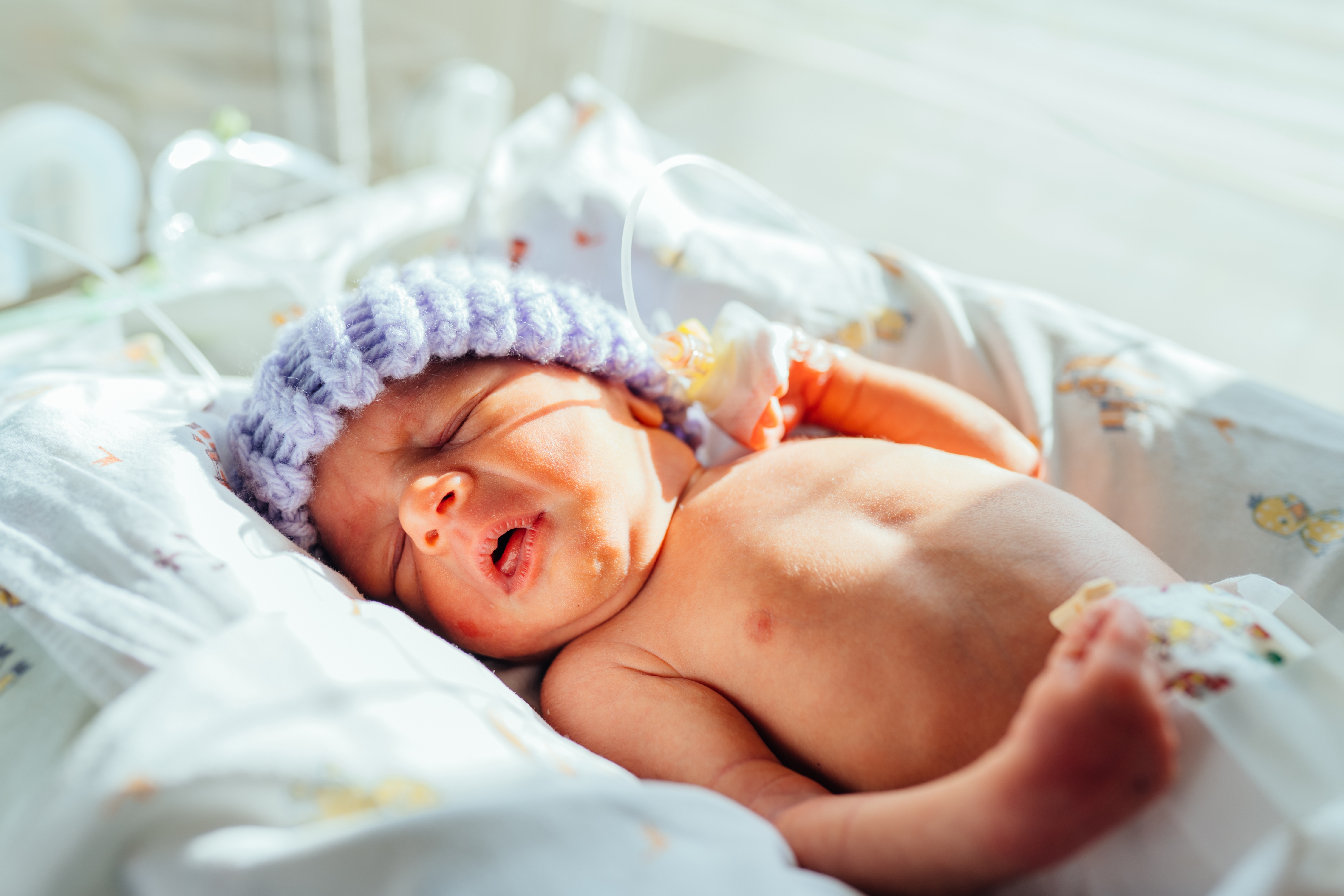 Fókuszban a koraszülött babák