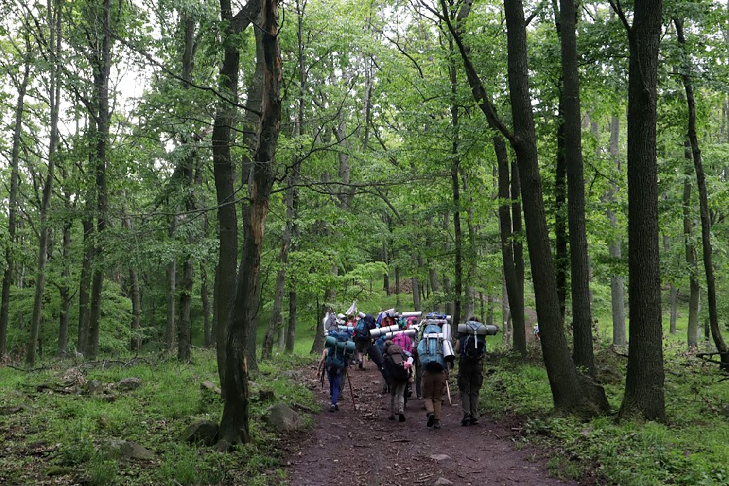 „Olyan, mint egy szerető nagycsalád” – életkép a cserkészeknél