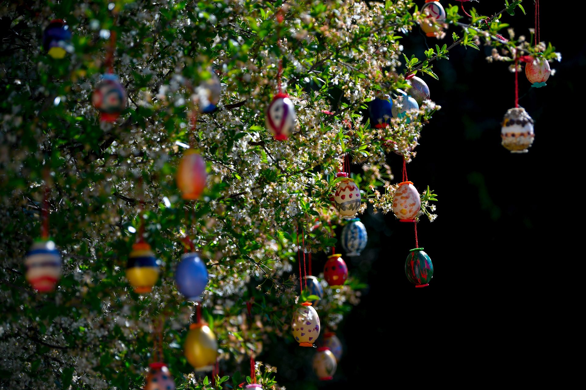 Nyuszisimogatótól tojásfestésig – húsvéti programkavalkád