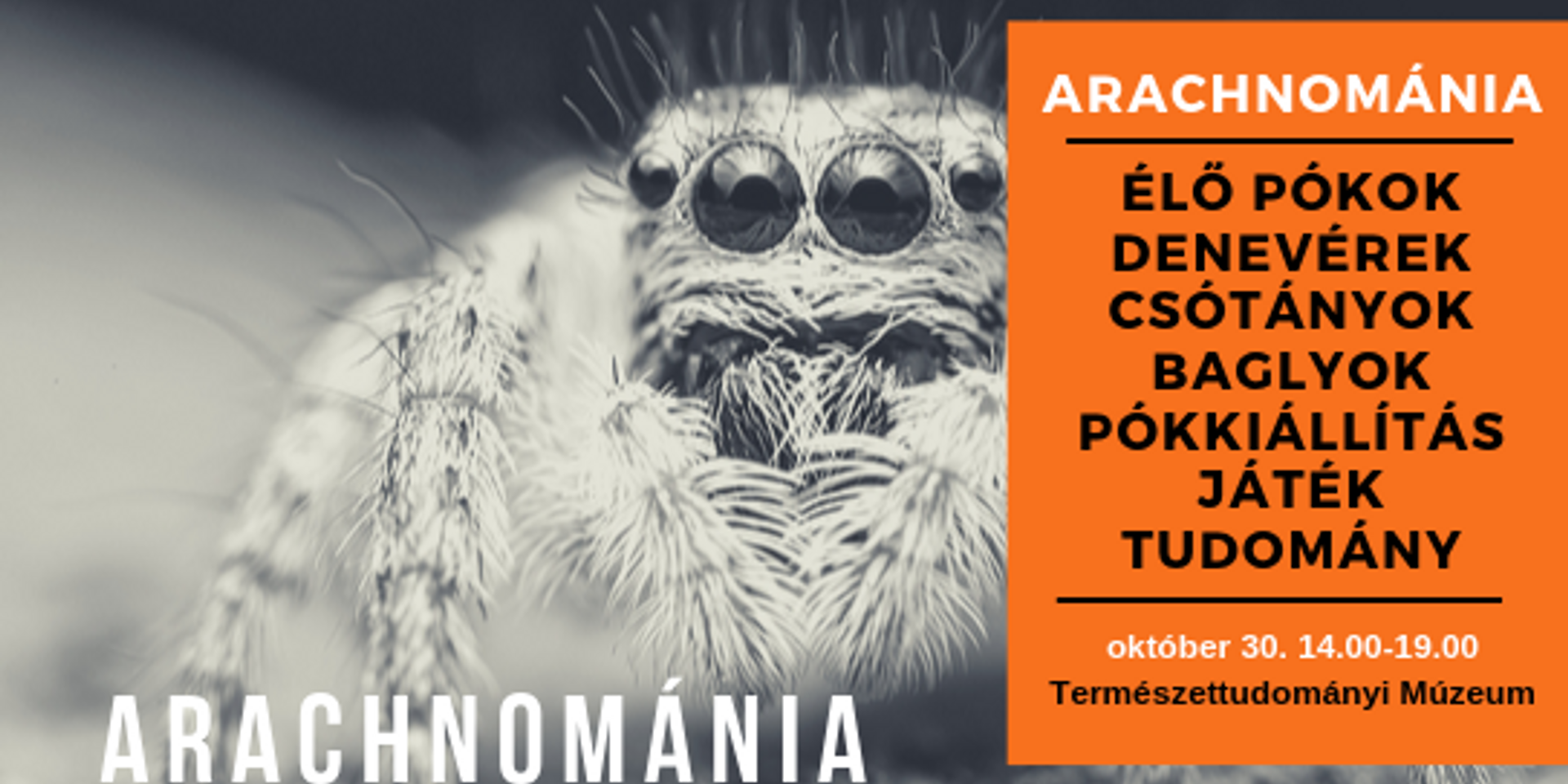 Szuper gyerekprogram: Arachnománia kiállítás 