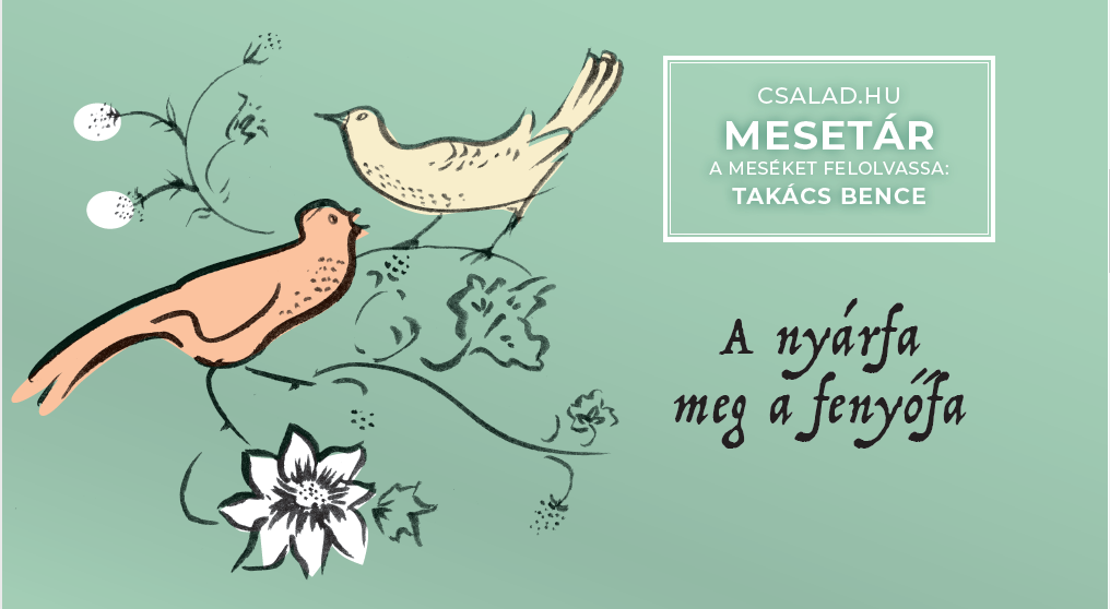 A nyárfa meg a fenyő