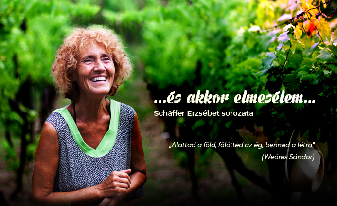 A meggyfa példázata