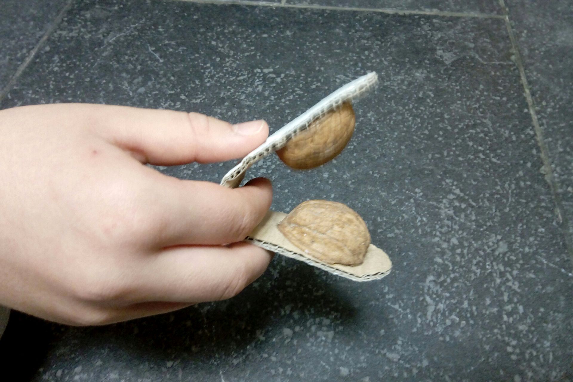 Kasztanyetta dióból