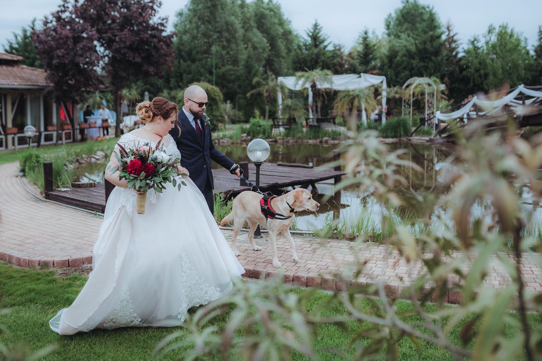 „Dorkoval hasítunk a járdán” – élet egy vakvezető kutyával 