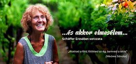 Cipőfűzők