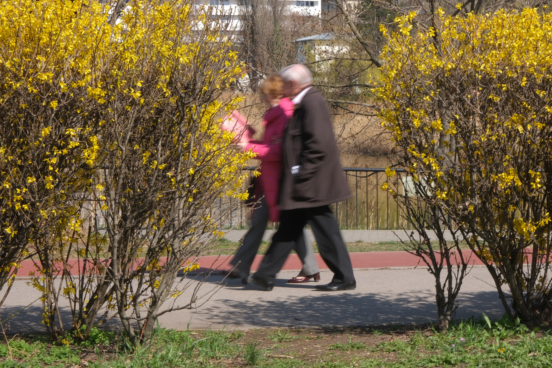 Egészséges életmód, aktivitás és család - időskorban