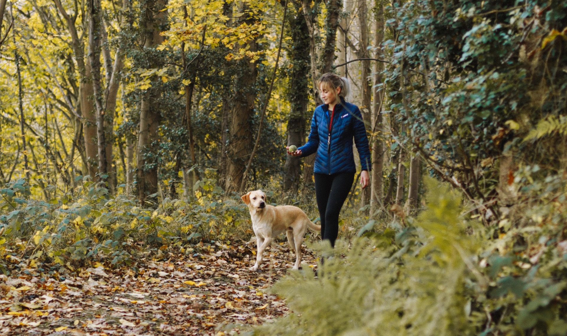 Mi legyen a kutyával nyaraláskor?