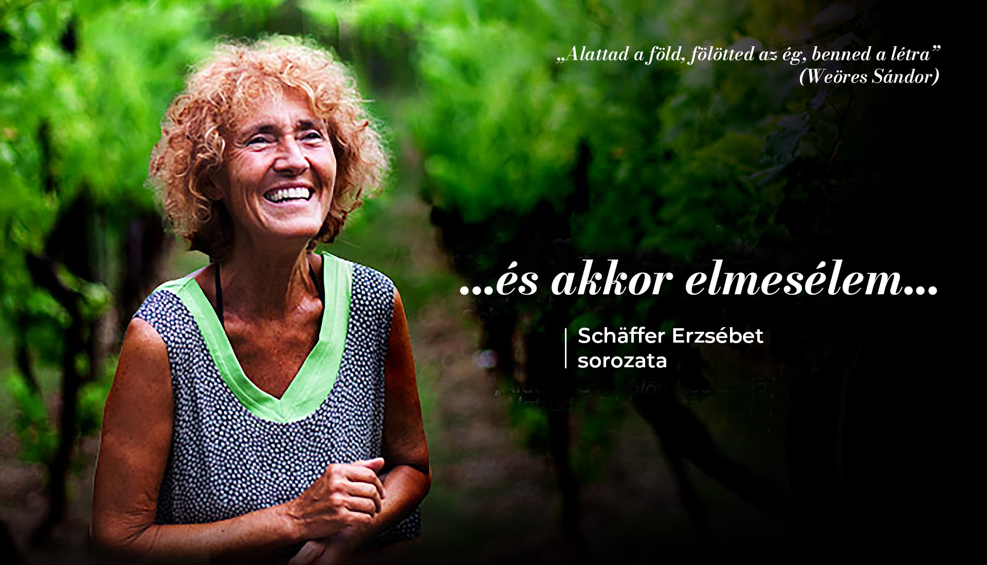 A kék papír és a vinyetta 