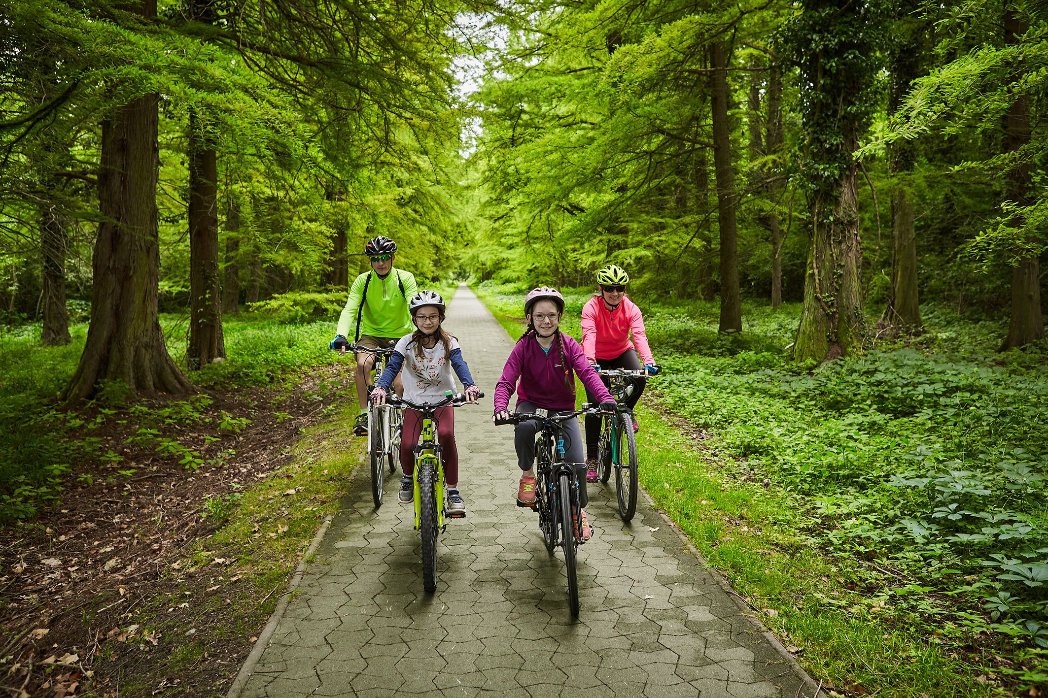 Biciklitúrára fel! – tematikus körutak a Nyugat-Balatonnál 