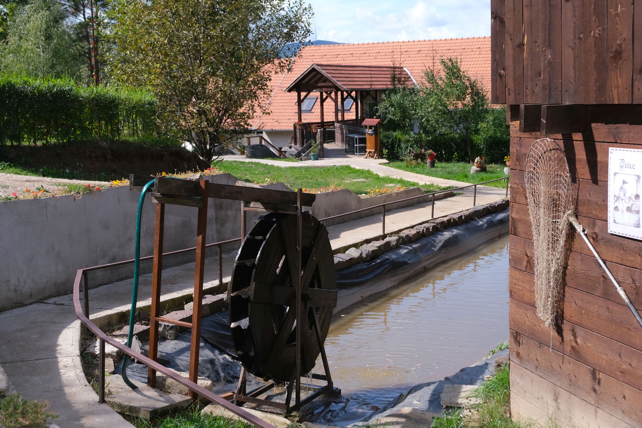 Egy nap mennyország